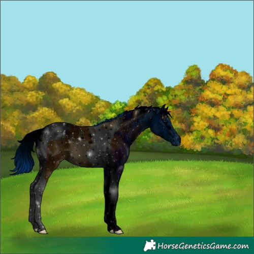 Horse Color:ERROR: UNKNOWN ANOMALY