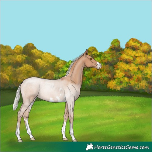 Horse Color:Silver Black Pearl 