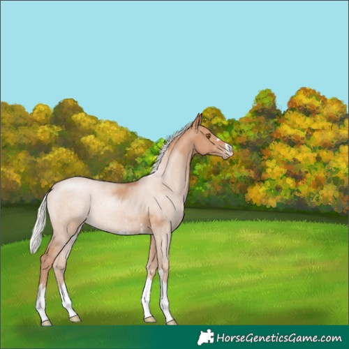 Horse Color:Silver Black Pearl 
