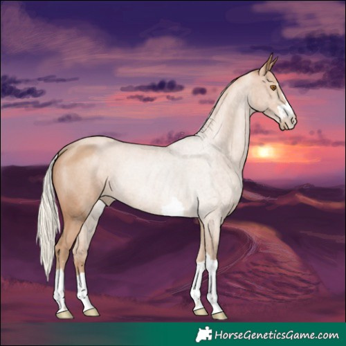 Horse Color:Silver Black Pearl Rabicano 