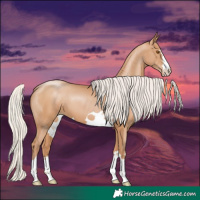 Horse Color:Silver Black Pearl 