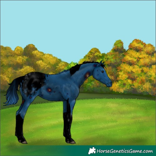 Horse Color:ERROR: UNKNOWN ANOMALY