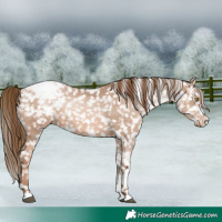 Horse Color:White Spotted Liver Chestnut Pearl Snowcap 