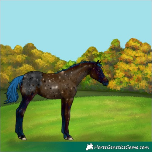 Horse Color:ERROR: UNKNOWN ANOMALY