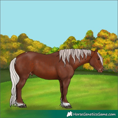 Horse Color:Chocolate Silver Bay Tobiano Varnish 