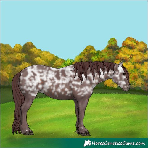 Horse Color:Chocolate Brown Ice 