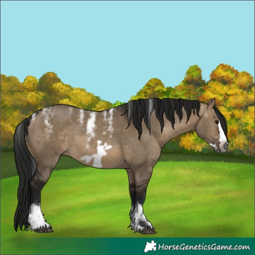 Horse Color:Powder White Gray Brown Dun Frame