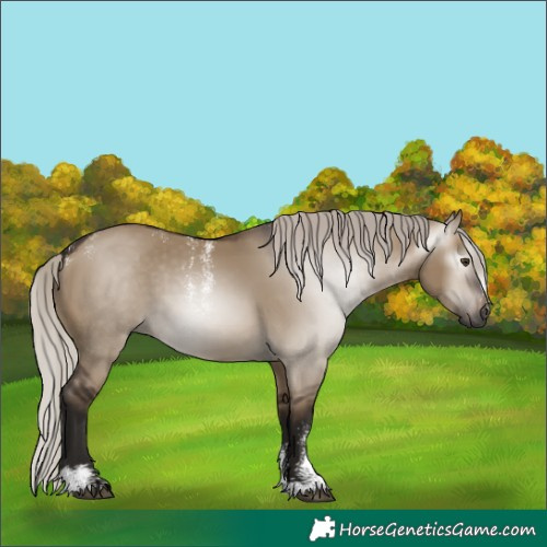 Horse Color:Powder White Gray White Spotted Silver Brown Dun 