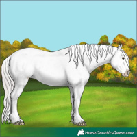 Horse Color:Silver Brown Mushroom Snowflake Varnish