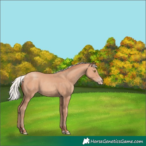 Horse Color:Chocolate Silver Amber Champagne 