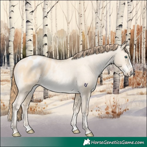 Horse Color:Chocolate Buckskin Pearl Dun Splash Appaloosa 