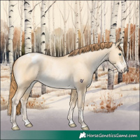 Horse Color:Chocolate Buckskin Pearl Dun Splash Appaloosa 