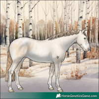 Horse Color:Chocolate Buckskin Pearl Dun Splash Appaloosa 