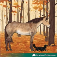 Horse Color:Chocolate Buckskin Dun 