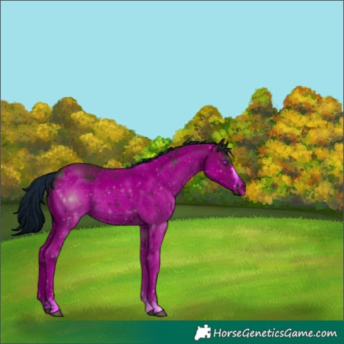 Horse Color:ERROR: UNKNOWN ANOMALY