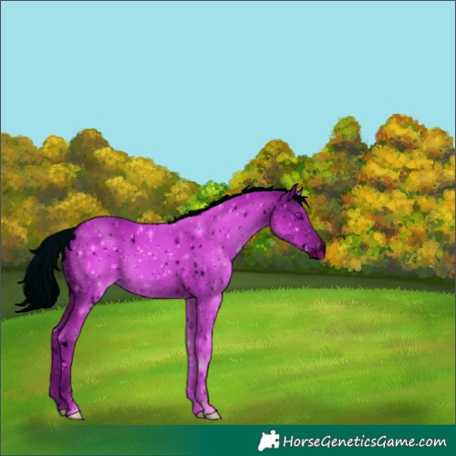 Horse Color:ERROR: UNKNOWN ANOMALY