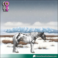 Horse Color:White Spotted Black Mushroom Tobiano