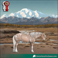 Horse Color:White Spotted Silver Black Pearl Mushroom Tobiano Appaloosa 