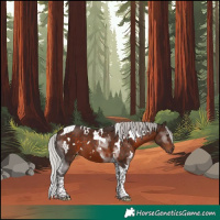 Horse Color:White Spotted Silver Brown Mushroom Tobiano 