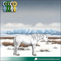 Horse Color:Gray White Spotted Brown Mushroom Tobiano Varnish 