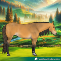 Horse Color:Buckskin 
