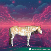 Horse Color:Buckskin Dun Sabino 