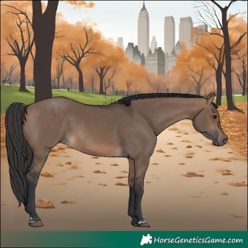 Horse Color:Brown Dun 