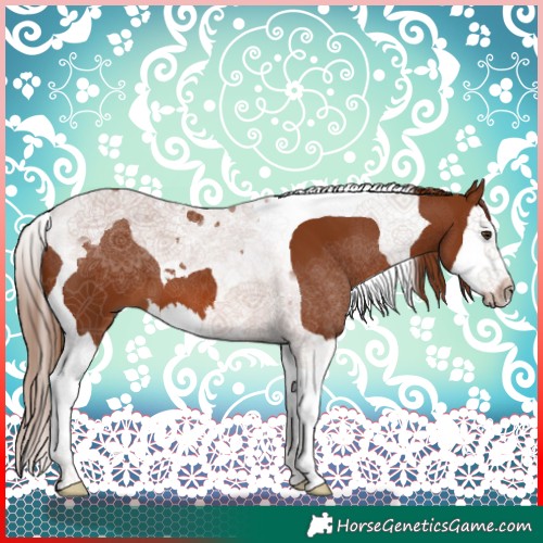Horse Color:Chestnut Splash Tobiano 