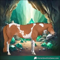 Horse Color:Chestnut Tobiano