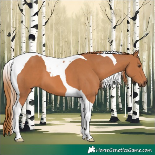 Horse Color:Chestnut Tobiano 