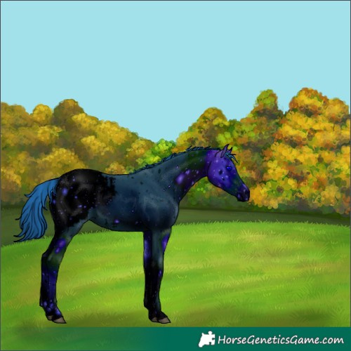 Horse Color:ERROR: UNKNOWN ANOMALY