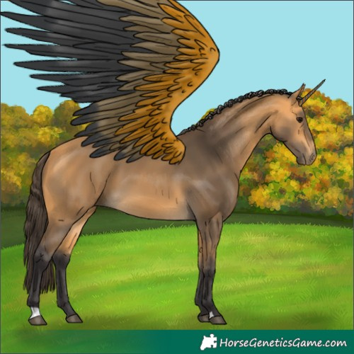 Horse Color:Buckskin 