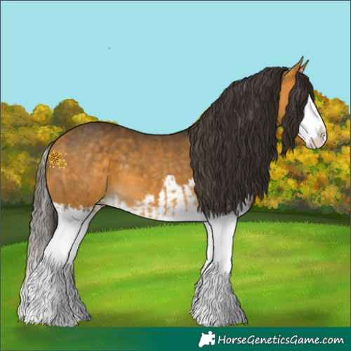 Horse Color:Buckskin Splash  and Buckskin Splash 