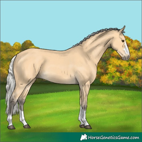 Horse Color:Silver Buckskin 