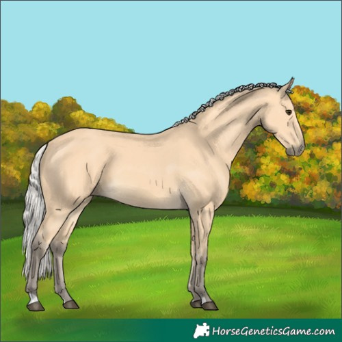 Horse Color:Silver Buckskin 