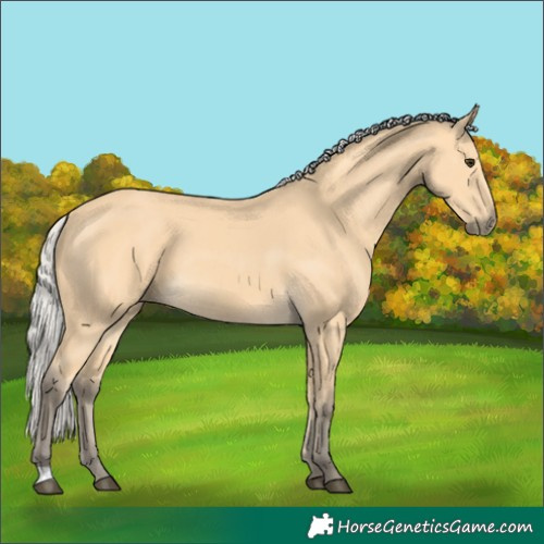 Horse Color:Silver Buckskin 