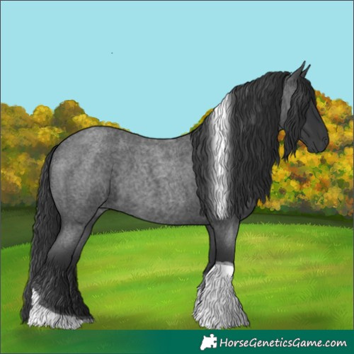 Horse Color:Blue Roan Tobiano 