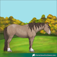 Horse Color:Classic Champagne 