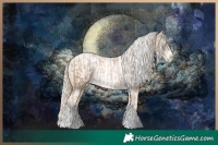 Horse Color:Chocolate Palomino Pearl Tobiano Frame and Chocolate Palomino Pearl Tobiano Frame Blanket