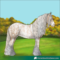 Horse Color:Chocolate Palomino Pearl Tobiano Frame  and Chocolate Palomino Pearl Tobiano Frame Appaloosa 