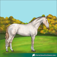 Horse Color:Red Roan Splash Varnish