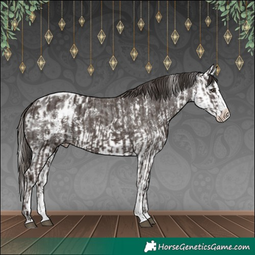 Horse Color:Liver Chestnut Sabino Splash Blanket  and Liver Chestnut Sabino Splash Blanket 