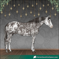 Horse Color:Liver Chestnut Sabino Splash Blanket and Liver Chestnut Sabino Splash Blanket