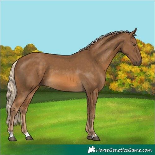 Horse Color:Chocolate Palomino