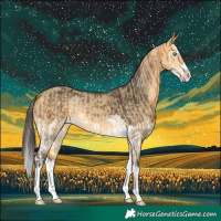Horse Color:Buckskin Splash  and Buckskin Dun Splash 