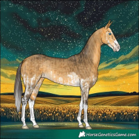 Horse Color:Buckskin Splash and Buckskin Dun Splash