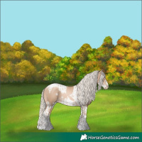 Horse Color:Chocolate Palomino Pearl Tobiano Frame and Chocolate Palomino Pearl Tobiano Frame