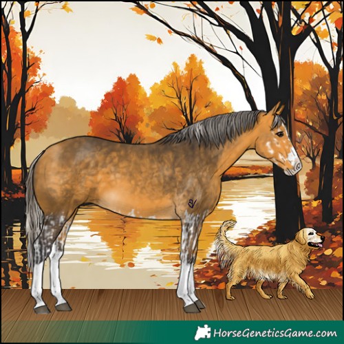 Horse Color:Buckskin Splash  and Silver Buckskin Splash 
