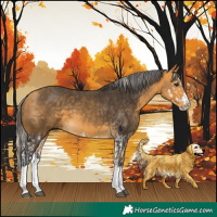 Horse Color:Buckskin Splash and Silver Buckskin Splash