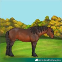 Horse Color:Brown 